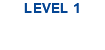 LEVEL 1