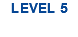 LEVEL 5